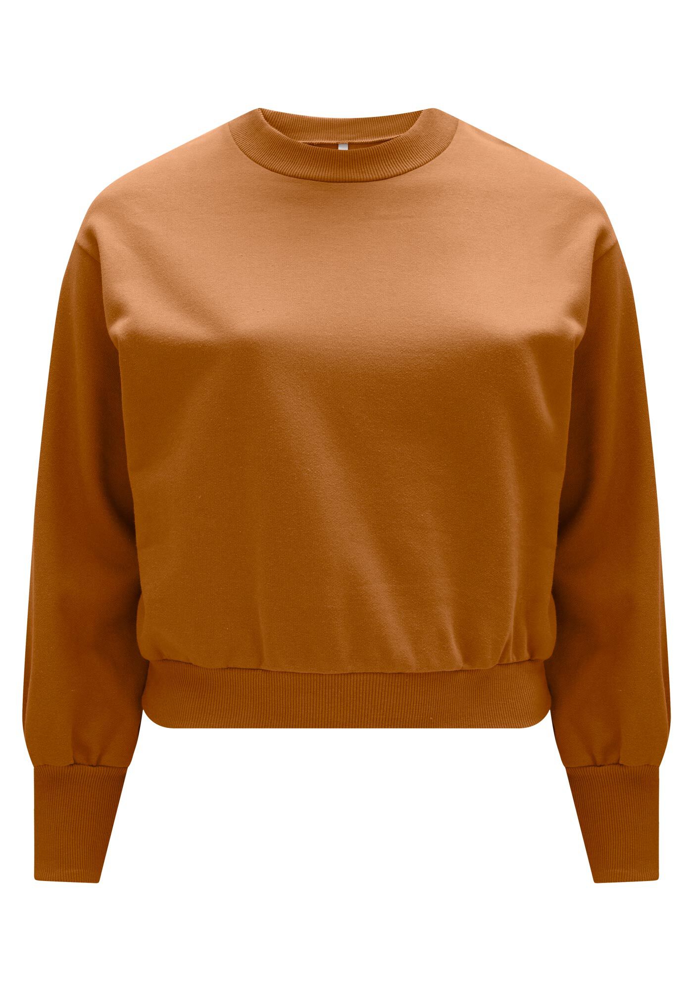 Blus&atilde;o B&aacute;sico Plus Size Em Moletom Felpado De Algod&atilde;o, , large.