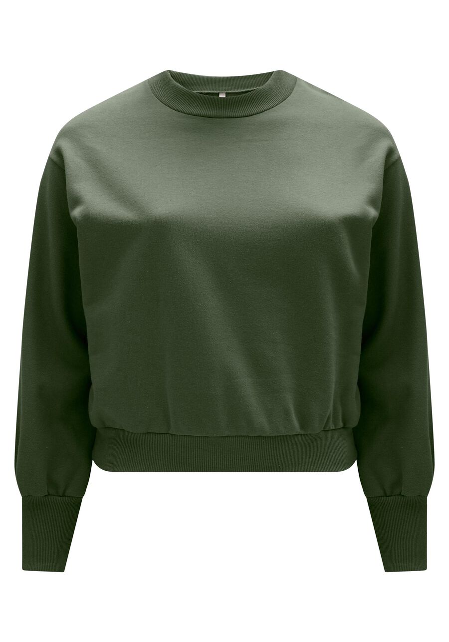 Blusão Básico Plus Size Em Moletom Felpado De Algodão, . Blusão Básico Plus Size Em Moletom Felpado De Algodão, , large.