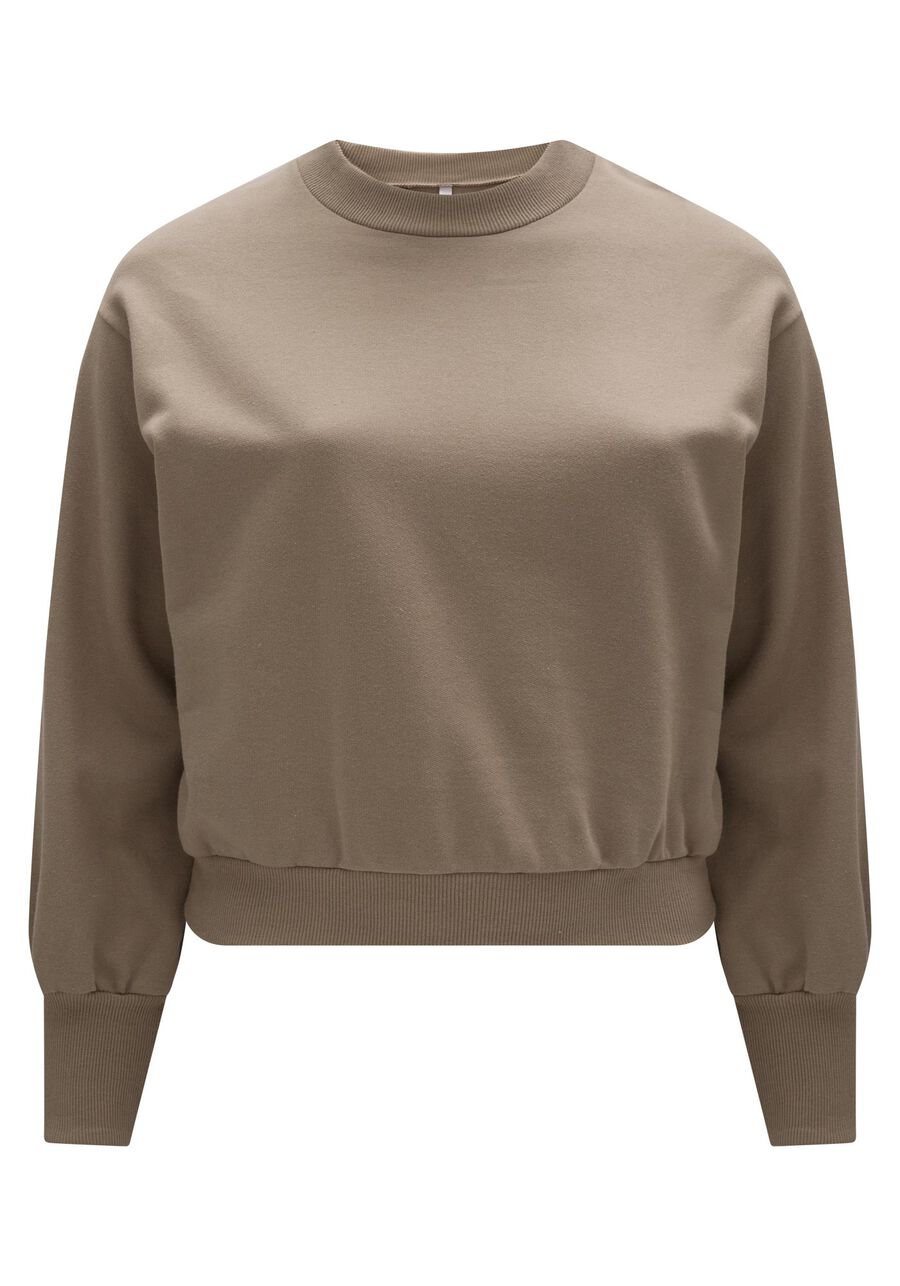 Blusão Básico Plus Size Em Moletom Felpado De Algodão, . Blusão Básico Plus Size Em Moletom Felpado De Algodão, , large.