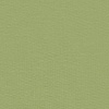 Conjunto Plus Size Curto com Blusa e Shorts, VERDE IOIO, swatch.